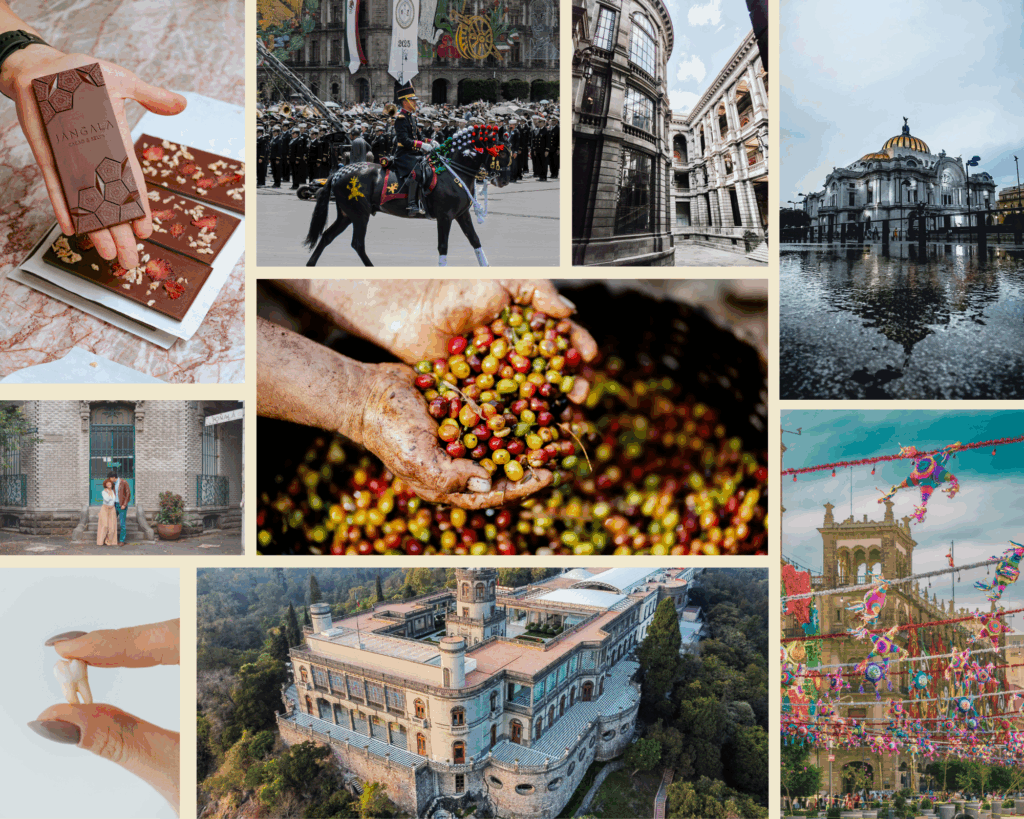 Pictures of elements of the books and films featured in the curated guide to books and films about Mexico City.