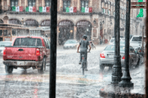 Rainy street scene in Mexico City — reflecting the personal and political journeys in The Interior Circuit, a powerful memoir