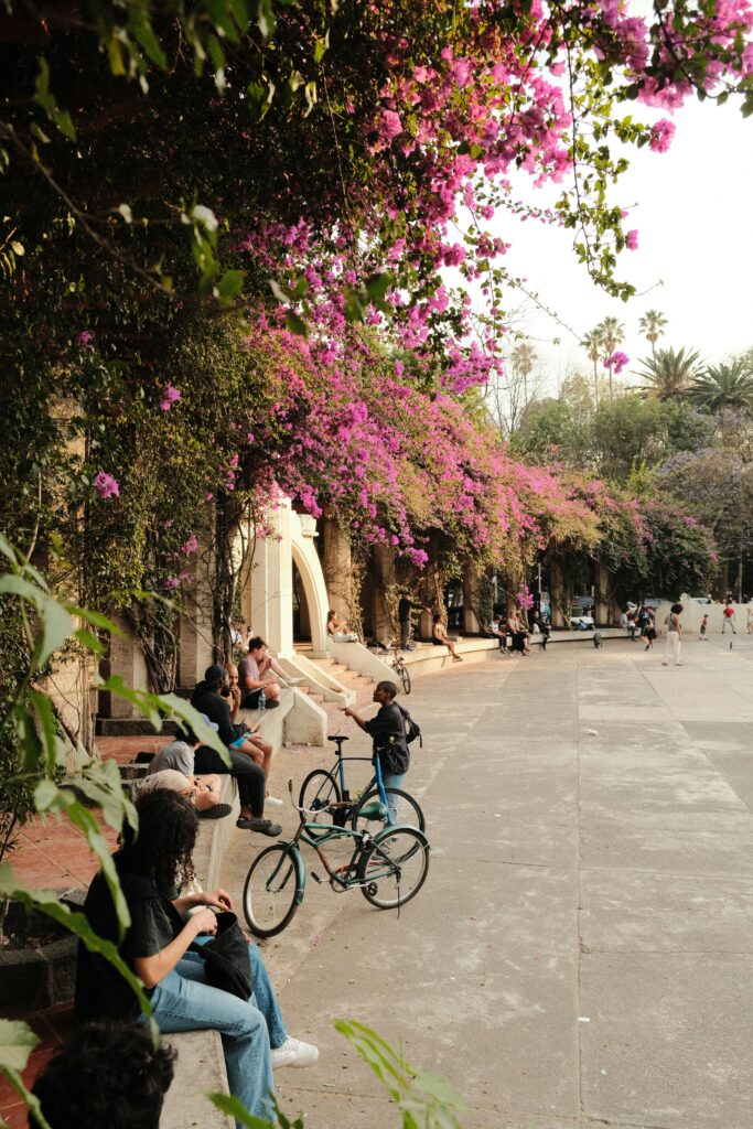 Young people relaxing in a Mexico City park surrounded by vibrant pink flowers, a popular local hangout featured in top resources for planning a trip to Mexico City